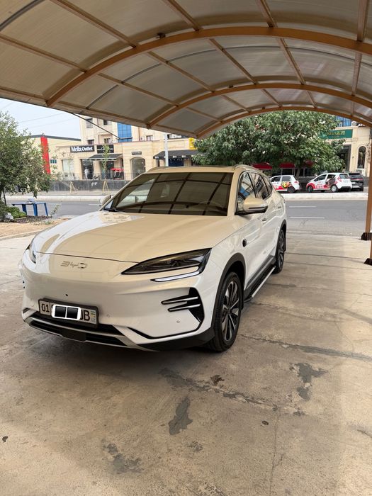 Byd Chempion Smart Restyling