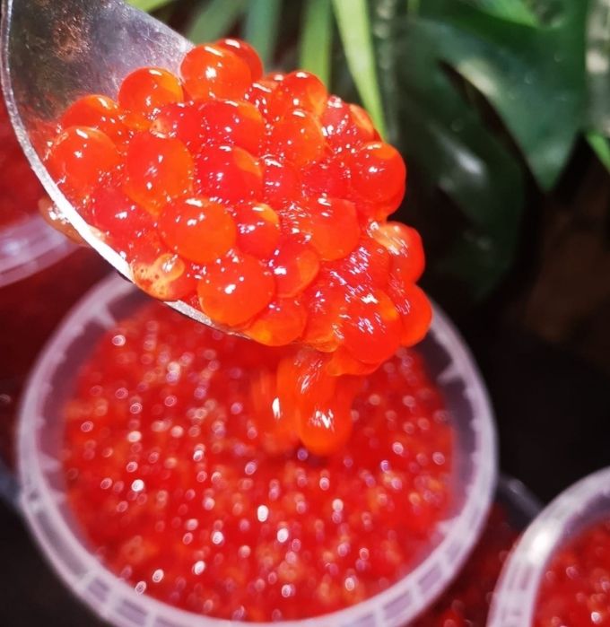 Красная Икра рыба Кижучь