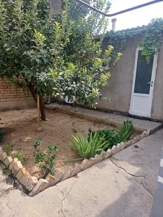 Keles abdurahmonovda xovli sotiladi