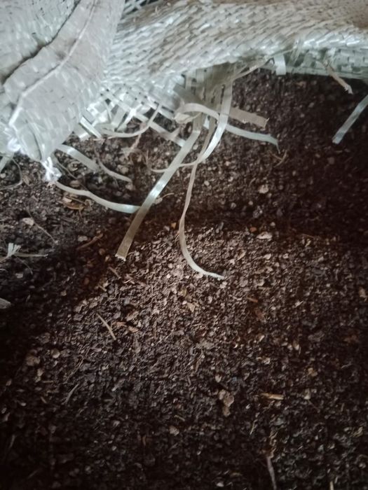 Биогомус таза ..