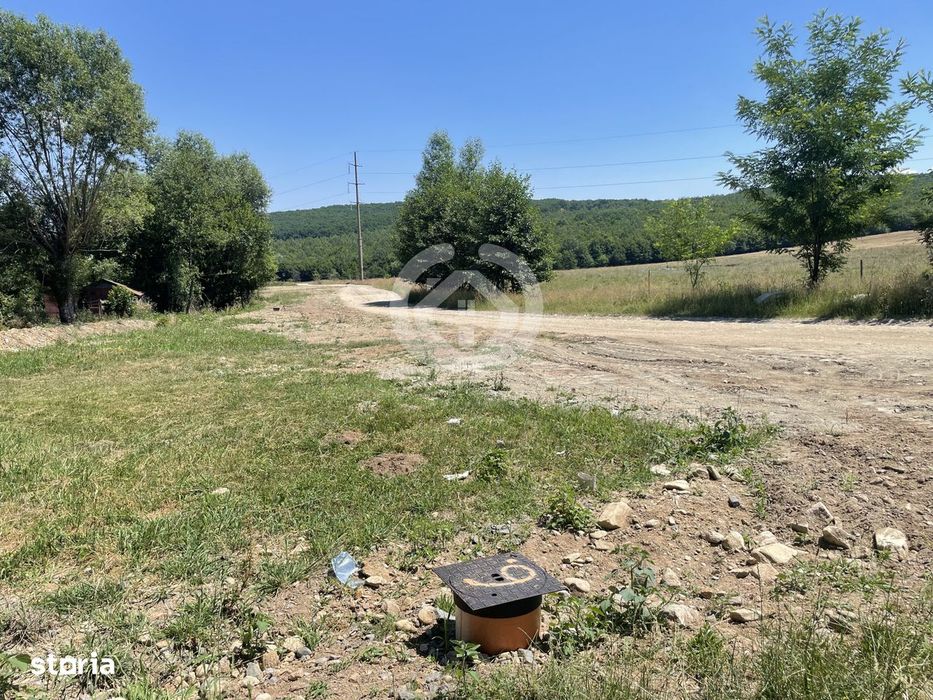 Teren intravilan Tocile, Sibiu – Ideal pentru casa | Utilitati
