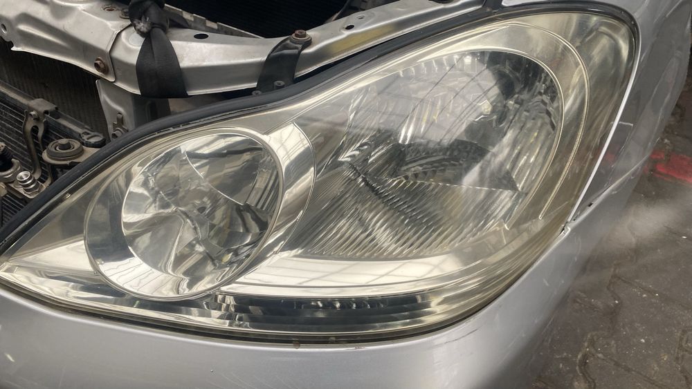 Ноускат Ипсум рестайлинг