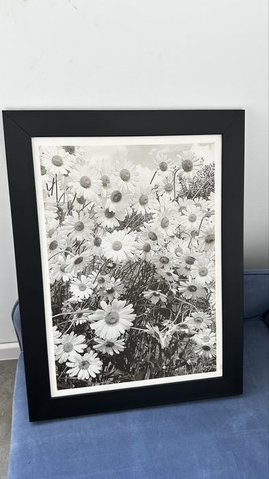 Картины для интерьера