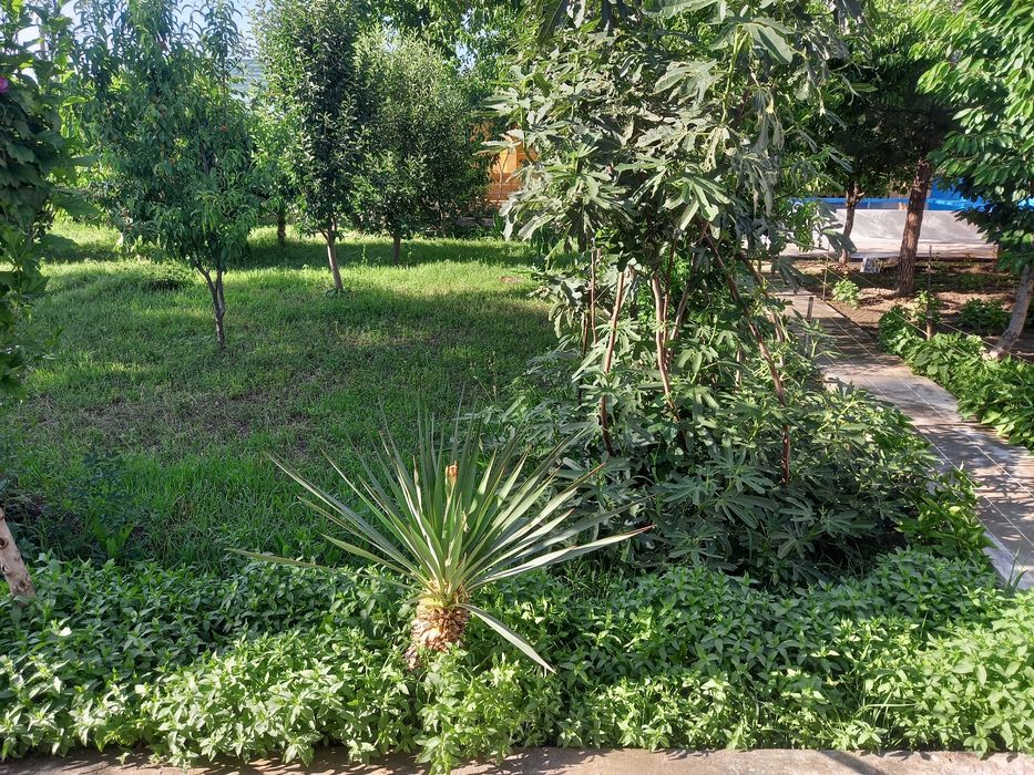Срочно продаетьс жилой дом, хавли