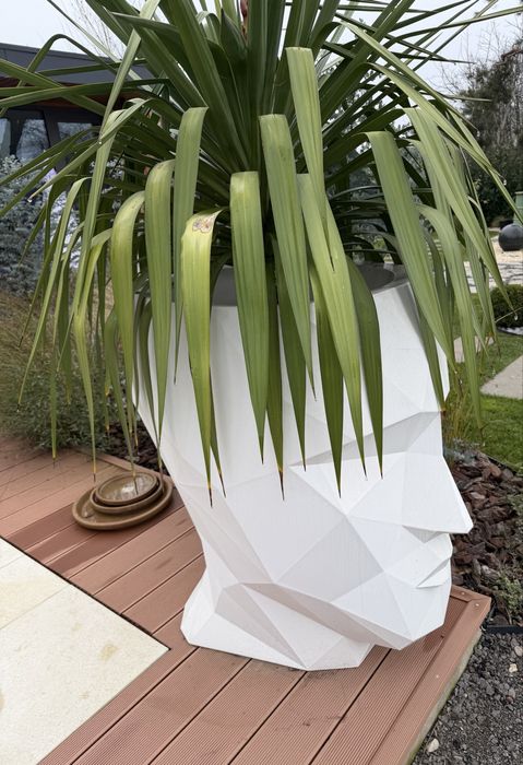 Ghiveci minimalist/ chip uman / fata umana