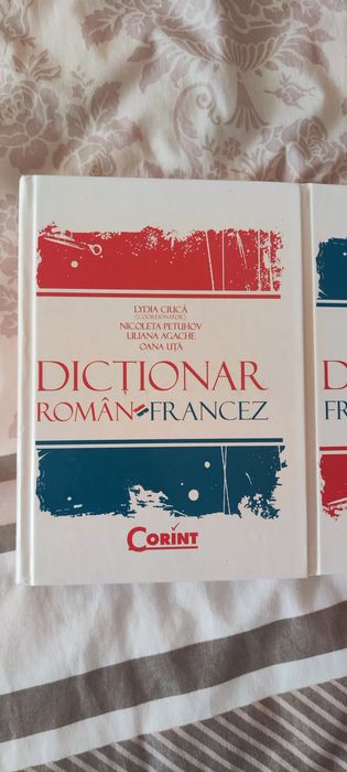2 Dictionare francez-roman, roman-francez