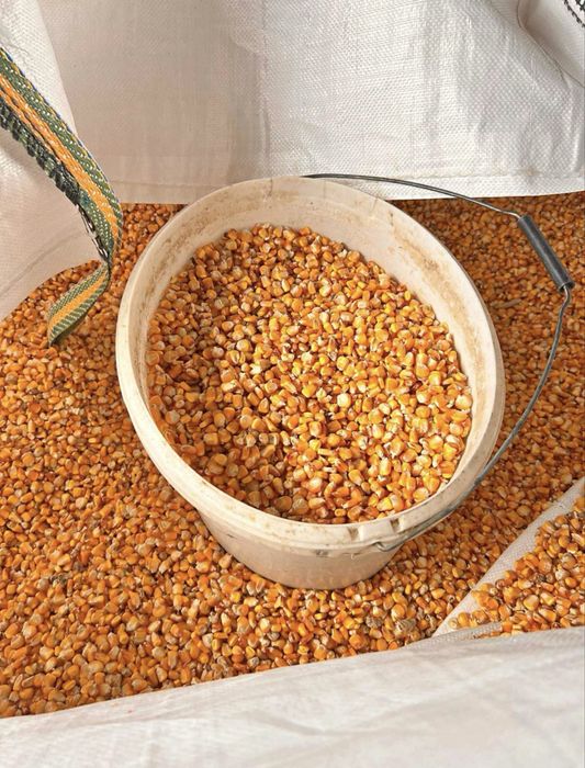 Vand porumb insacuit