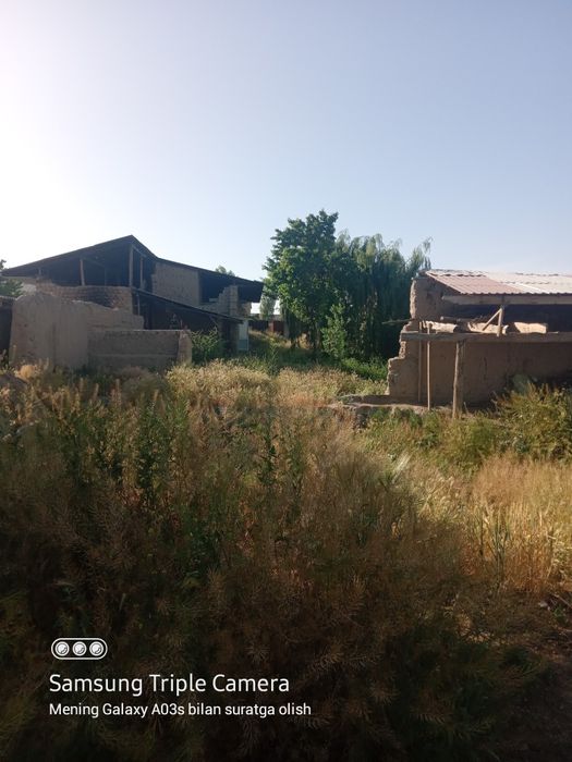 Jizzax Sh.Rashidov tuman. Uch tepa daxasi Yangi hayot maxallasi