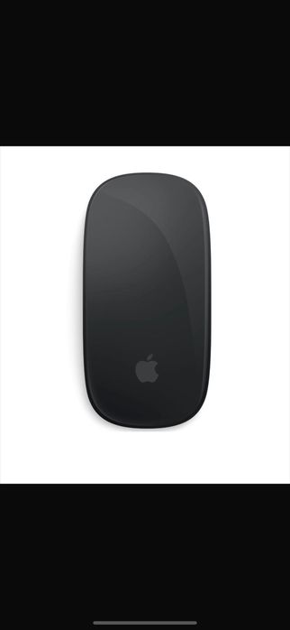 Apple черна мишка