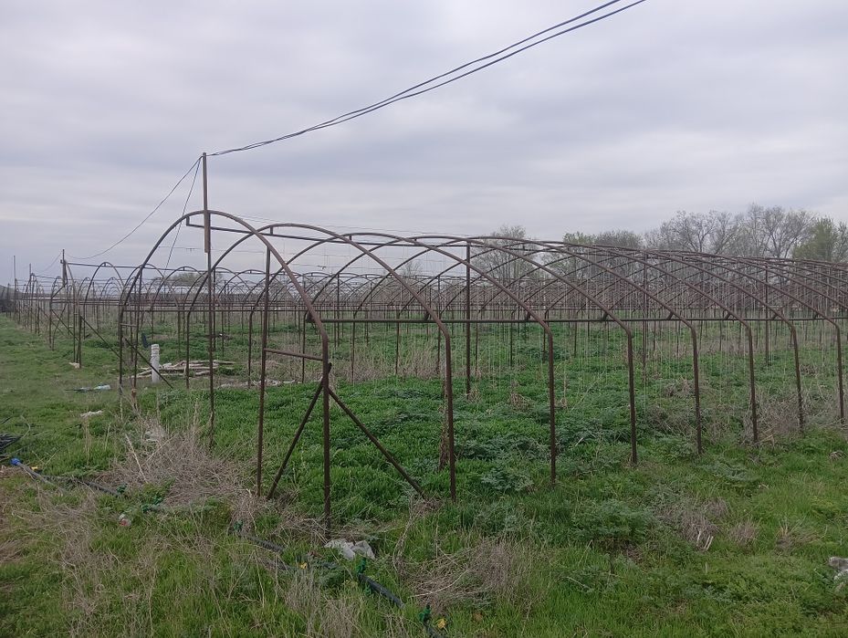 Тепличное хозяйство