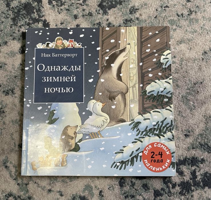 Книга «Однажды зимней ночью» (