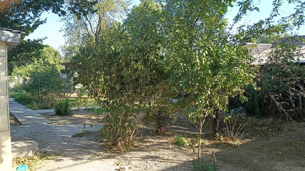 Дом на Кайнар Булаке