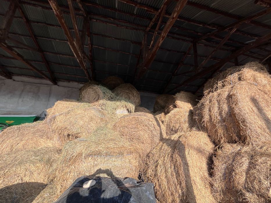 Продавам Бали люцерна