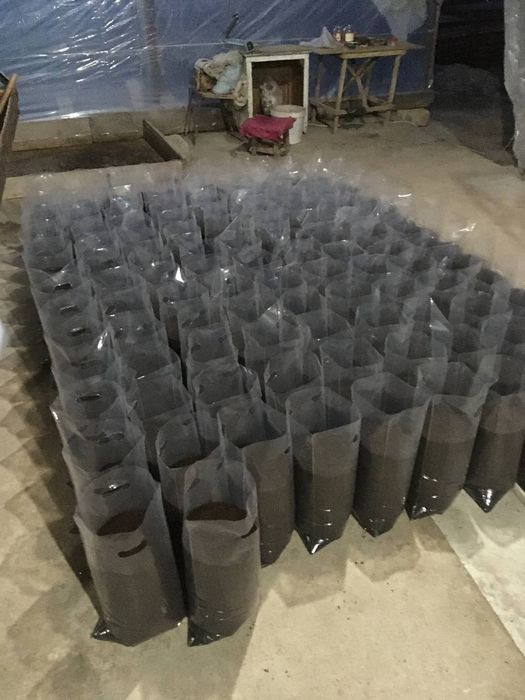 Toshkent shahar Sergili tumanida toza Biogomus  sotiladi