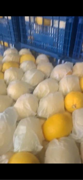 Лимон турция с мерсина