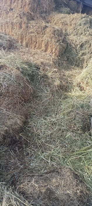 Продам сено в тюках