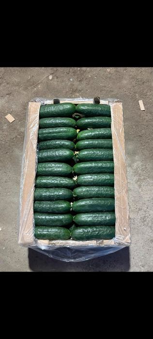 Помидоры огурцы Для кофе ресторан есть доставка