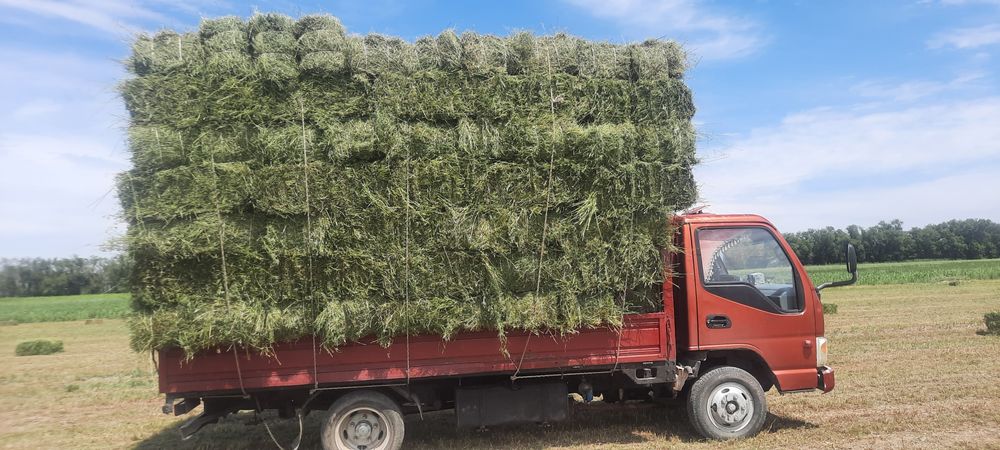 Жак, газель грузовой.