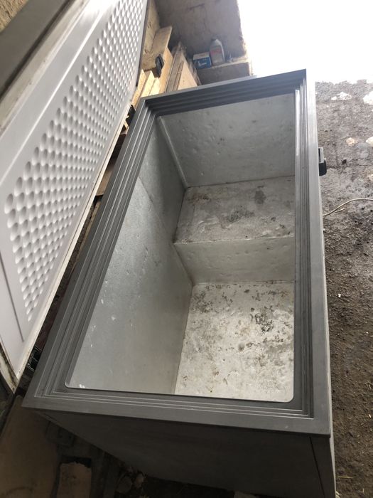 Маразильник орион