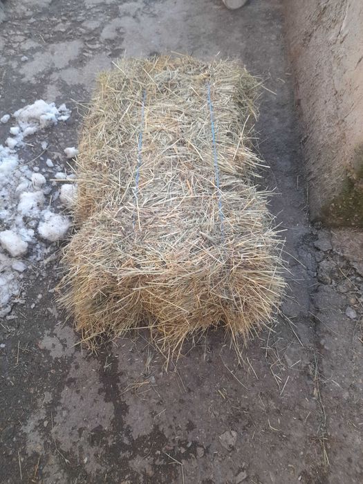 Продавам бали сено