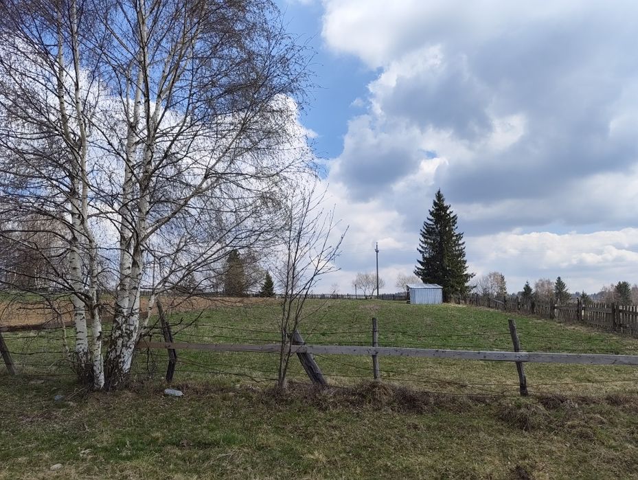 Teren plat 2.920 mp  Dealul Negru 5km de Beliș  vedere muntele Vlădeasa