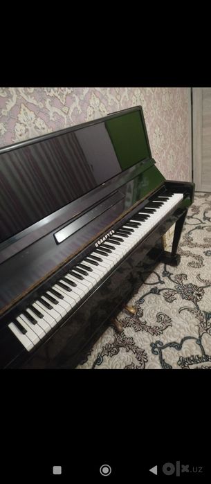 Lastochka nomli pianina