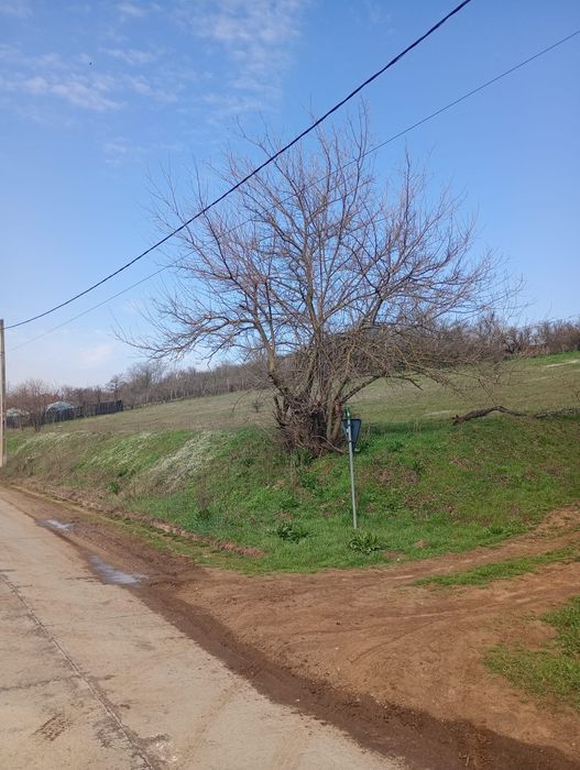 Teren intravilan Varvoru de jos