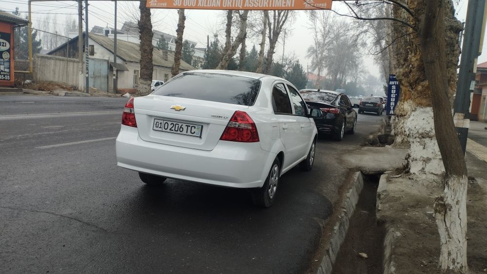 Nek3 2018 Mexanika kraska tozza