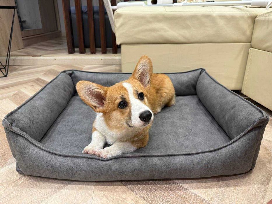 Лежанки для  собачек 85 на 60  .