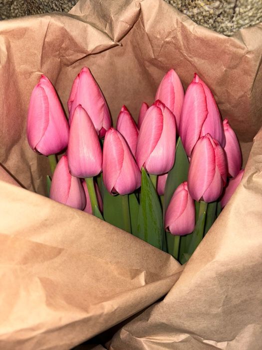 Тюльпаны оптом и розницу