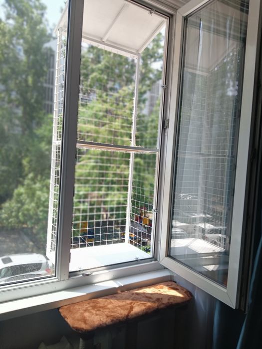 Кошка на окошке , кошачий балкончик