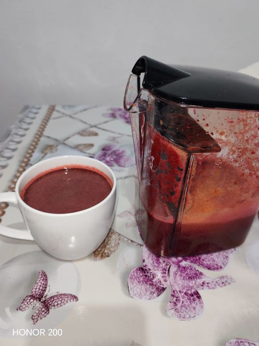 Соковыжималка Sungar