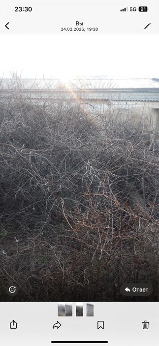 Отын береміз тегын . 1камаз шығады