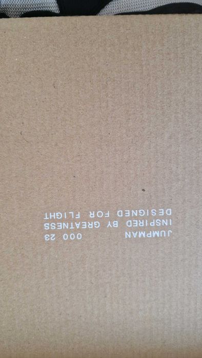 Nike Jordan Air 200E Zion Pe