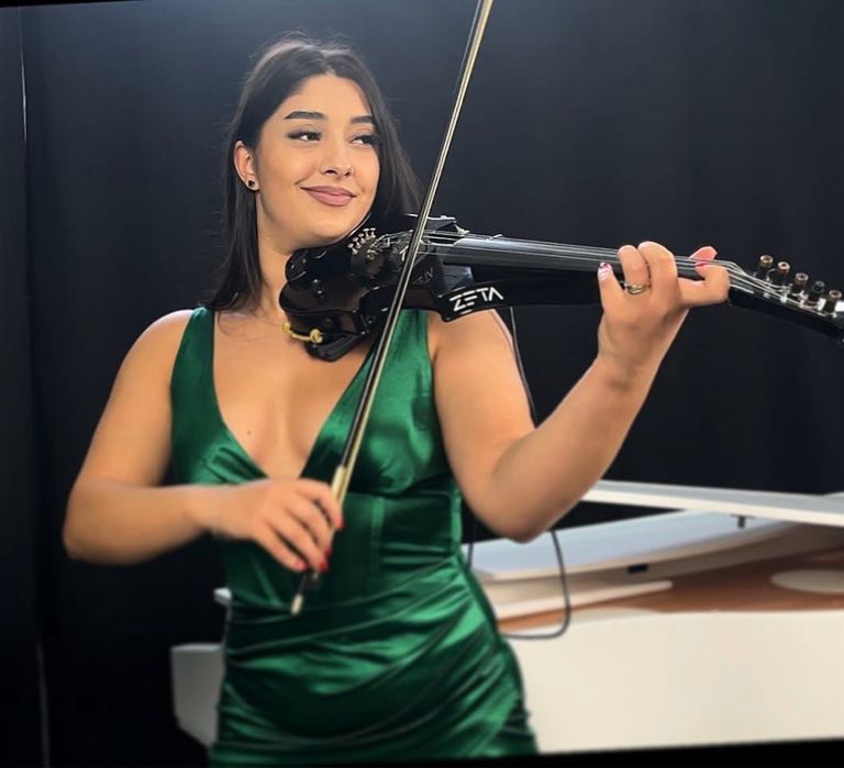 Lecții de vioară și pian pentru începători