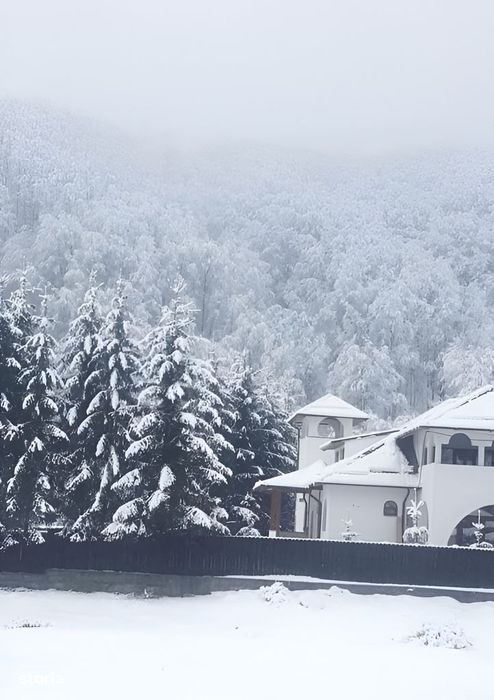 Pensiunea Sfanta Elena Berevoiesti
