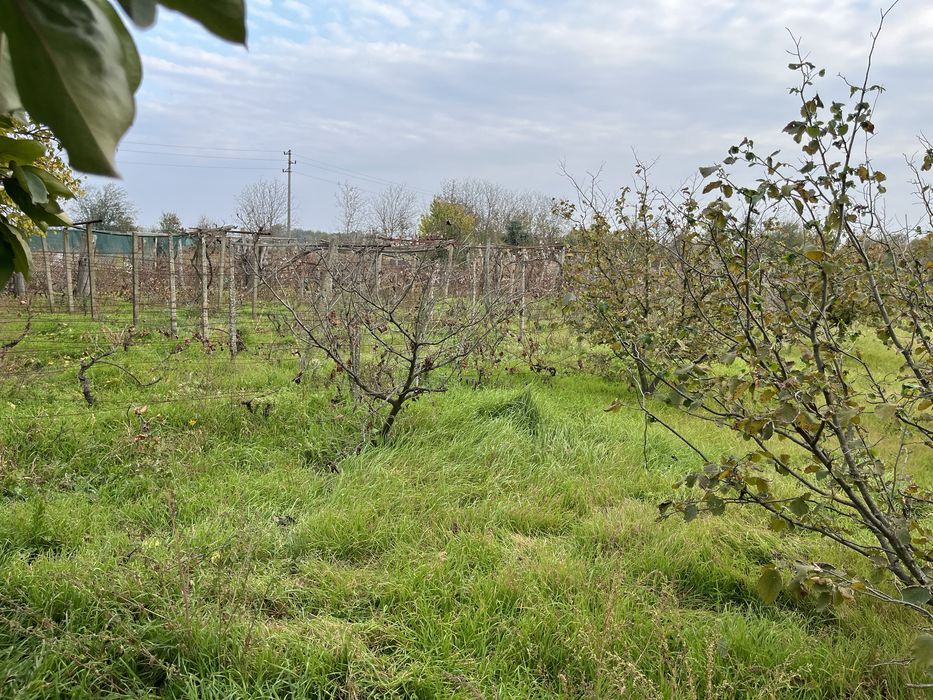 Продава се Къща в Добрич, Център - 100 кв.м за 281 €/кв.м - Снимка #4