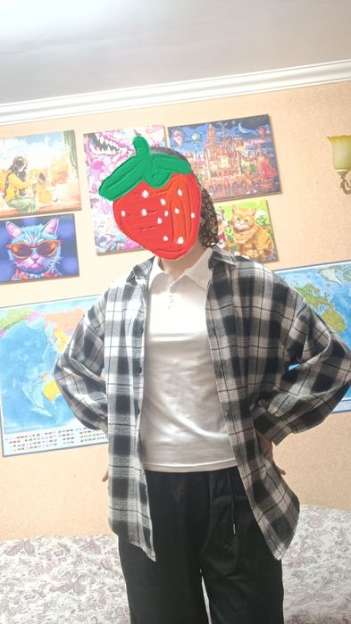 Две клетчатые рубашки