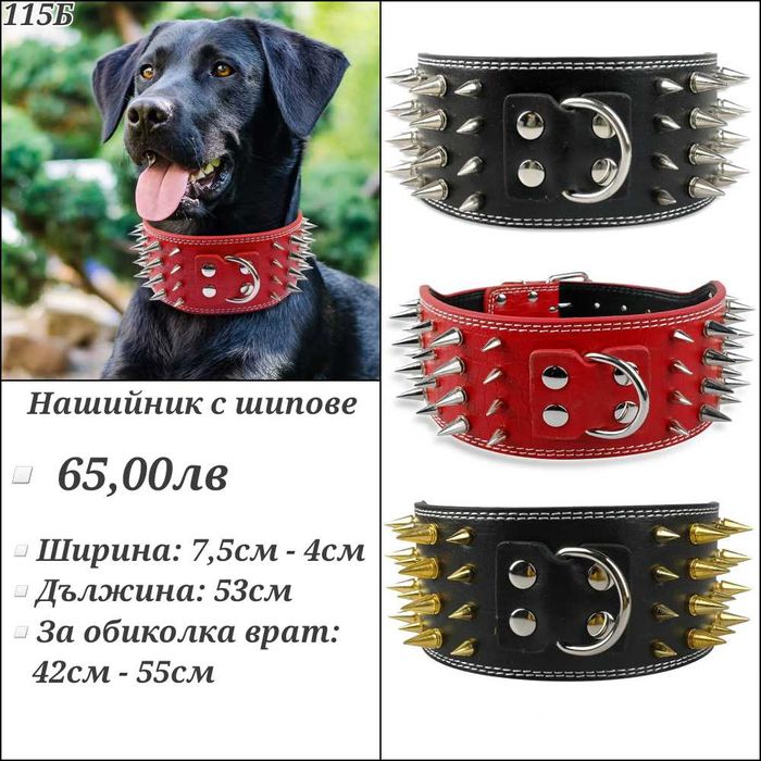Нашийник за голямо куче. Нашийник с шипове. Нагръдник за голямо куче.
