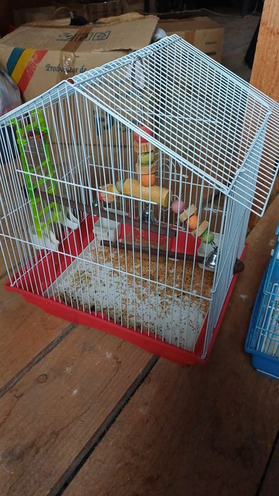 Vand colivii si custi