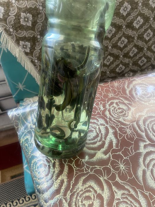 Пиявки медицинские!