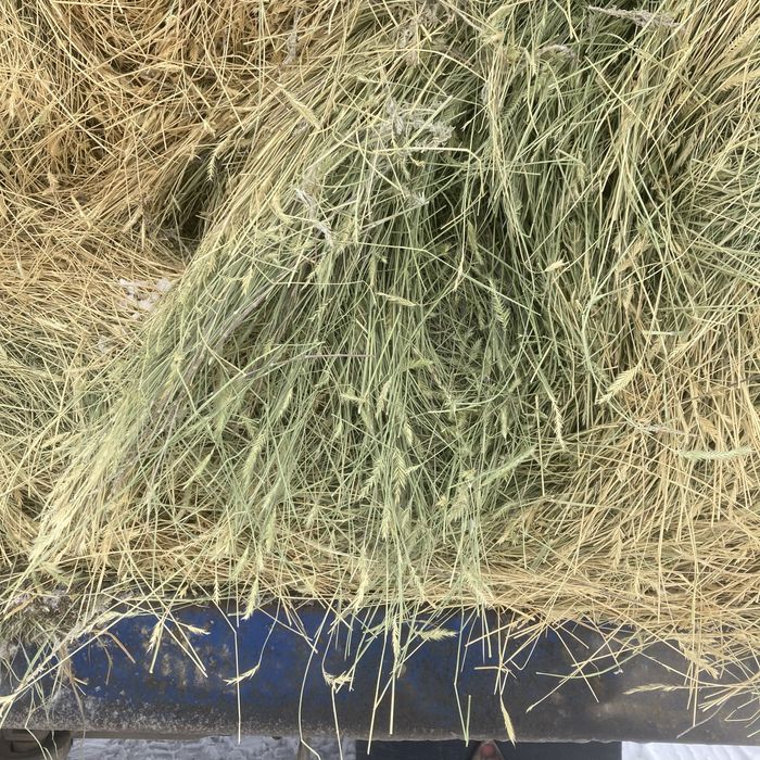 Продаю сено рулоны тюки