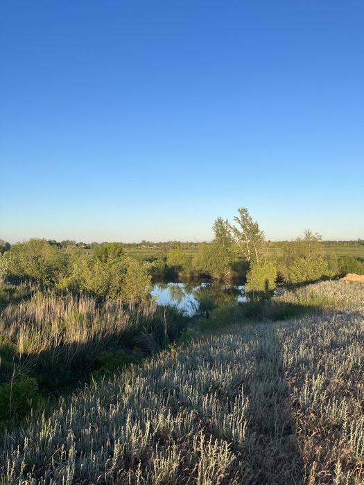 Продам дачу с времянкой. 6 соток.