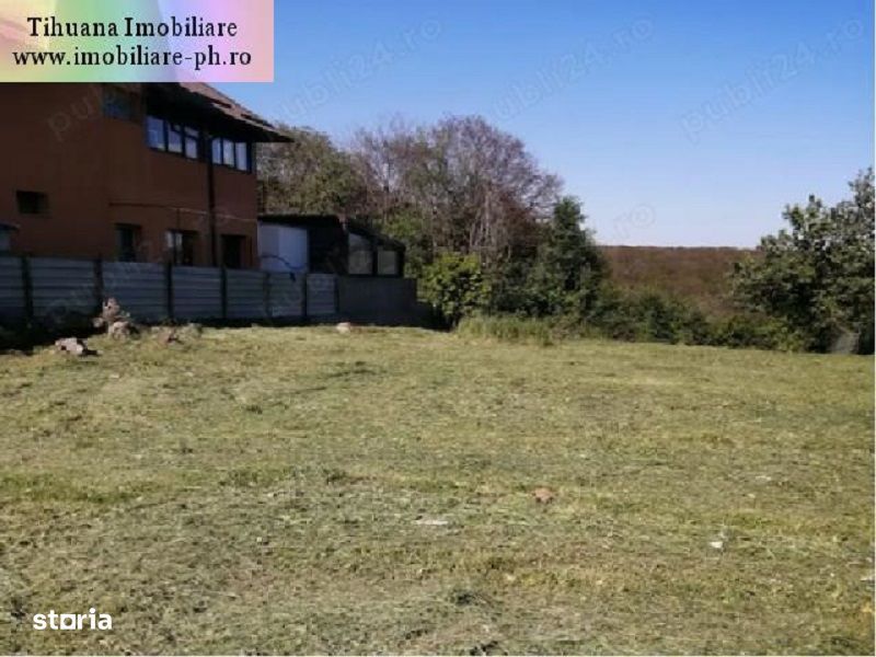 Teren de vanzare - Cocosesti(com. Paulesti)