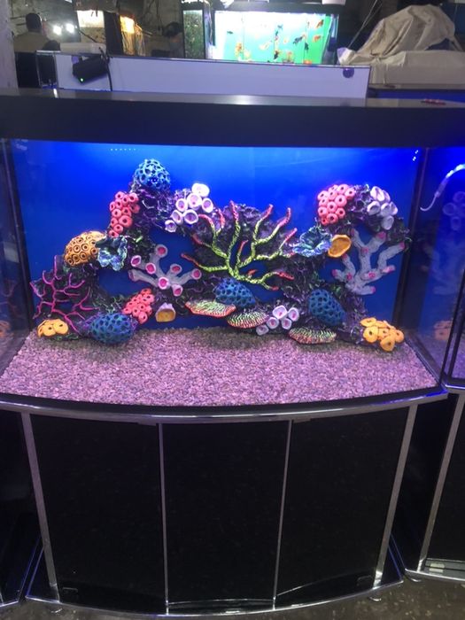 Изготовление и ремонт аквариума обслуживание и есть даставка