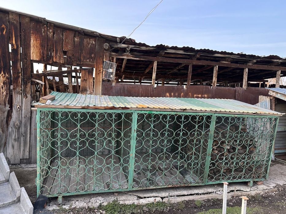 Бараны и клетка