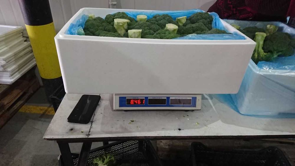 Ящики , контейнеры из пенопласта для перевозки брокколи и фрукты