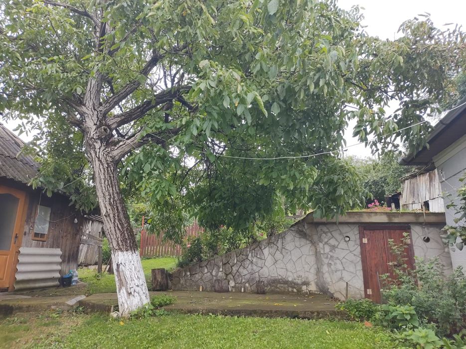 Vând casă în sat Cara, comuna Cojocna la 18 km de Cluj-