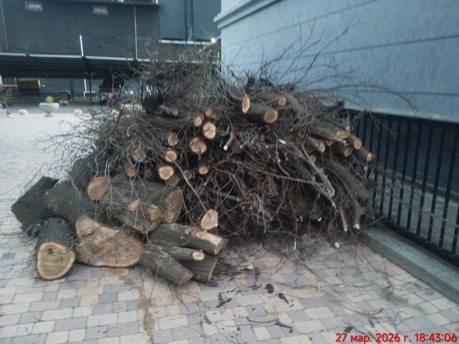 Yogoch sotiladi , yahshi