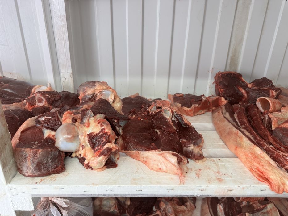 Продам мясо конины возраст три года